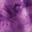 Purple Tie-Dye