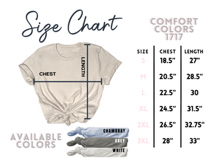 Skyliner Embroidered T-Shirt
